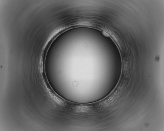 X0000101191131200806271309