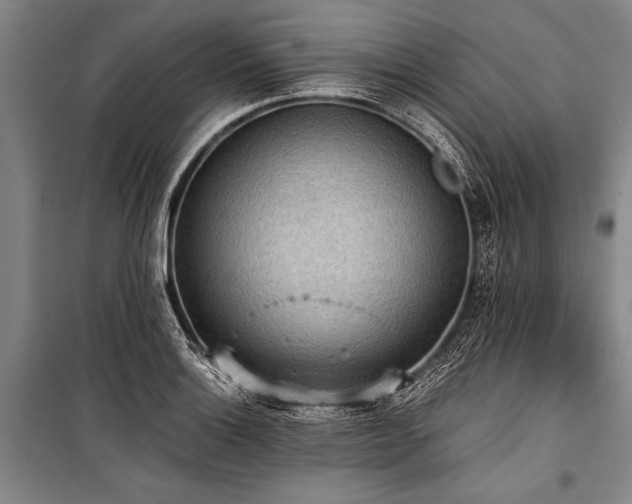 X0000101191132200806271309