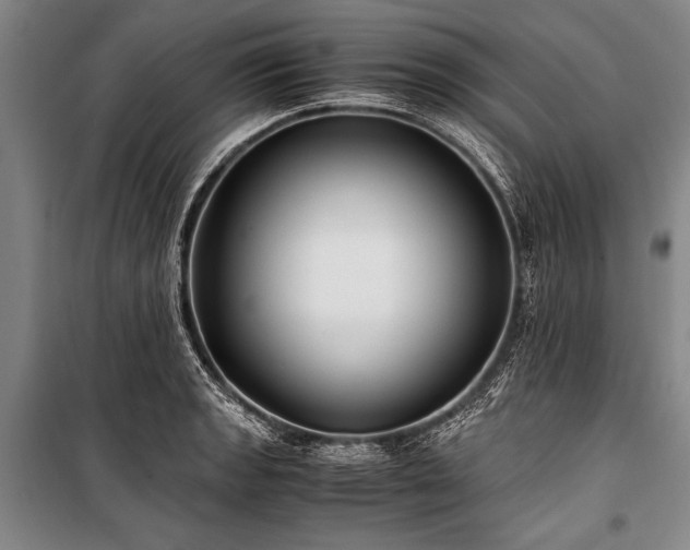 X0000101191133200806271309