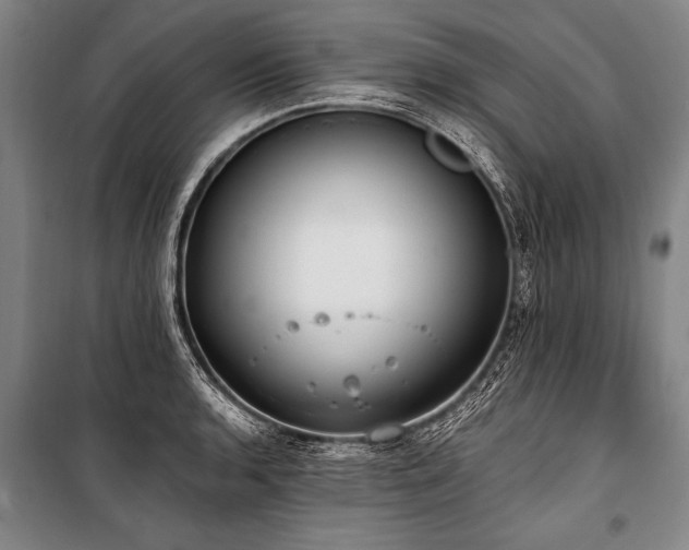 X0000101191136200806271309