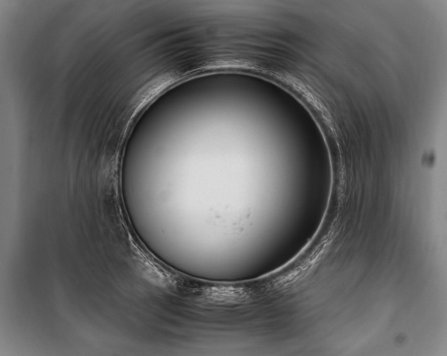 X0000101191137200806271309