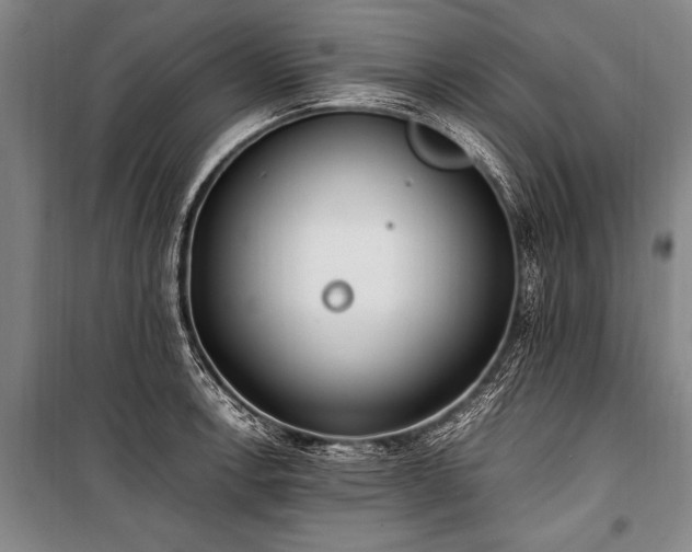 X0000101191138200806271309