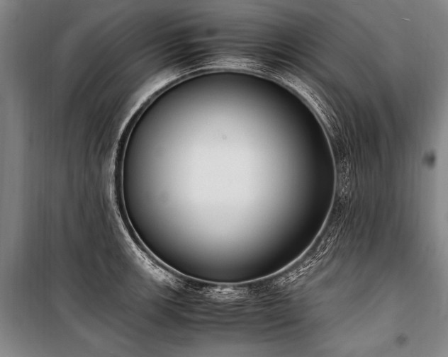 X0000101191139200806271309