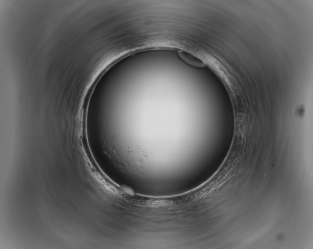 X0000101191140200806271309
