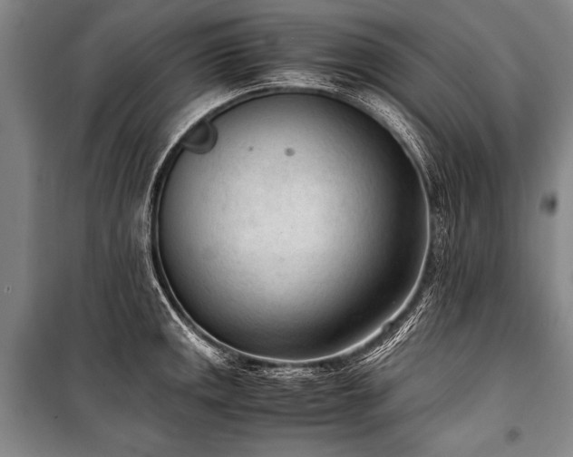 X0000101191141200806271309