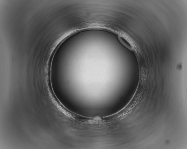 X0000101191142200806271309