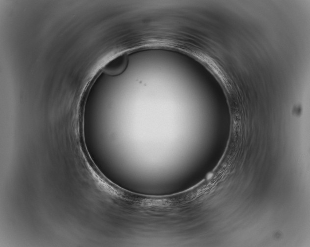 X0000101191143200806271309