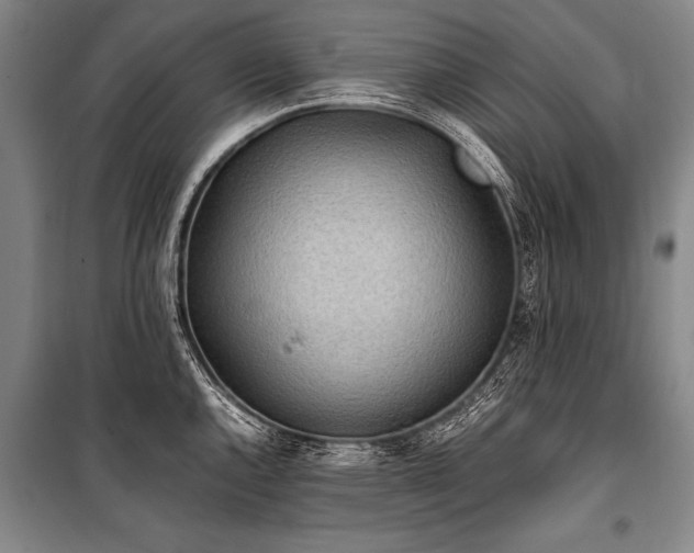 X0000101191144200806271309