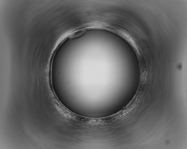 X0000101191146200806271309