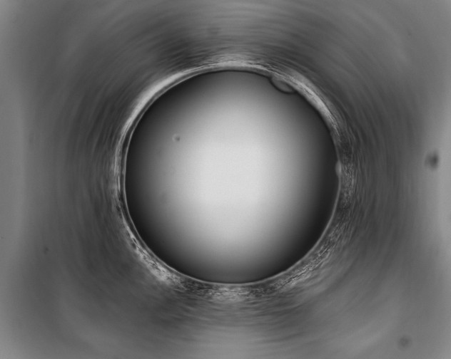 X0000101191148200806271309