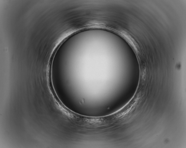 X0000101191149200806271309