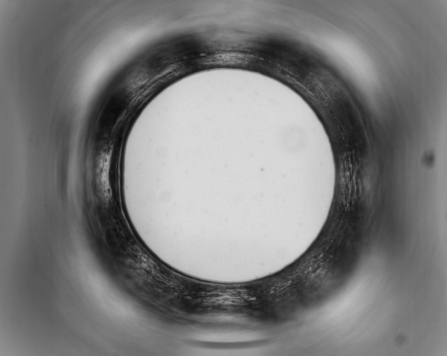 X0000101191150200806271309