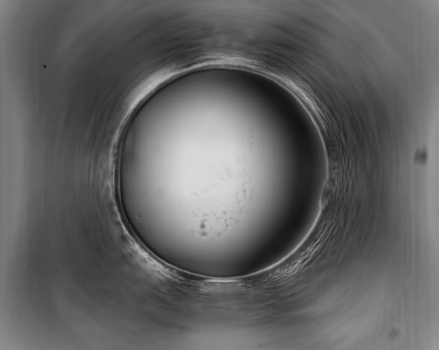 X0000101191151200806271309