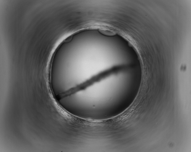 X0000101191152200806271309