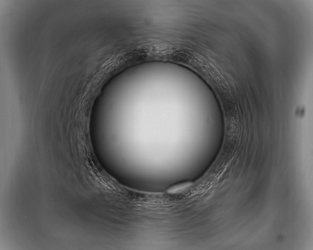X0000101191153200806271309