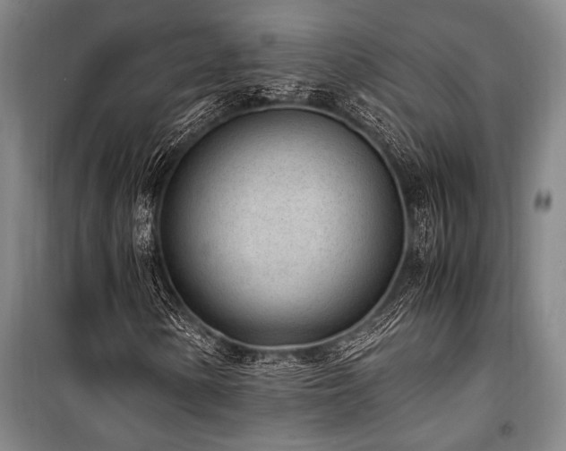 X0000101191154200806271309