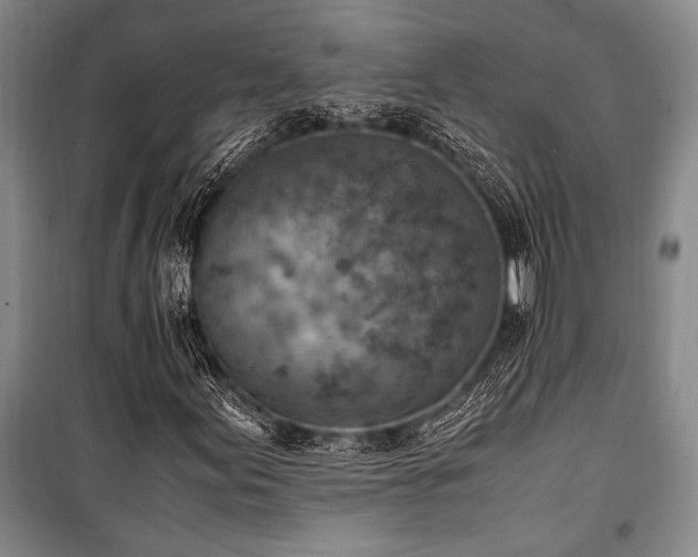 X0000101191155200806271309