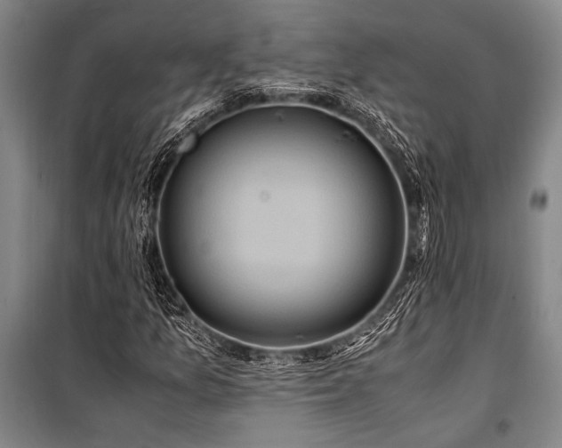 X0000101191157200806271309