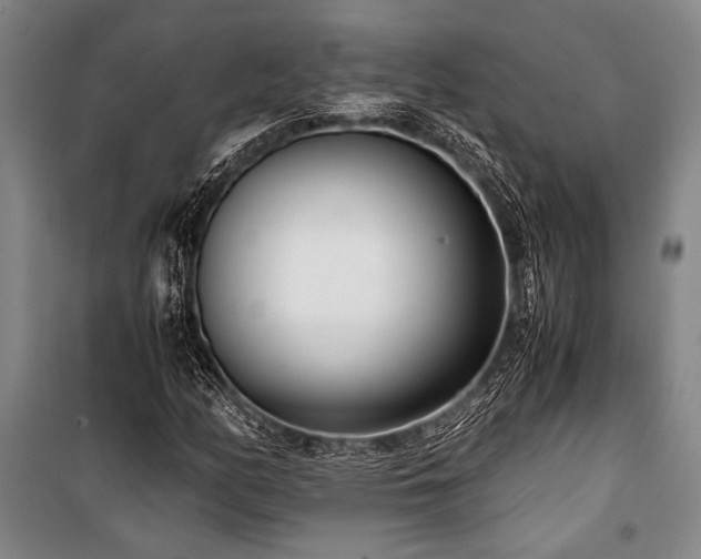 X0000101191158200806271309