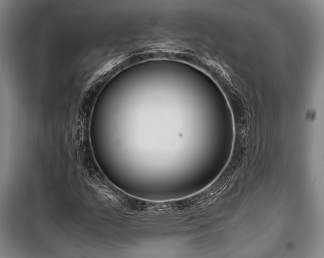 X0000101191159200806271309