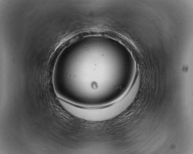 X0000101191160200806271309