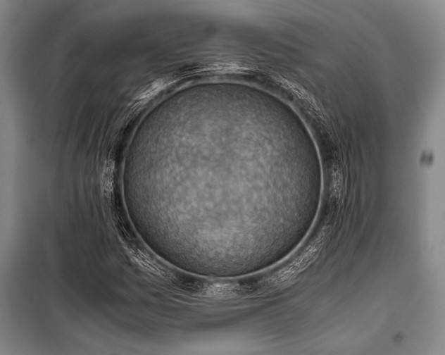 X0000101191161200806271309