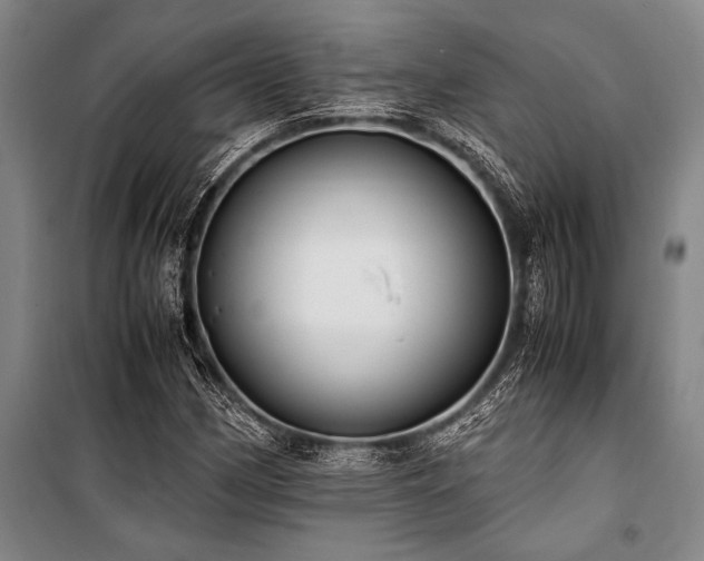 X0000101191162200806271309