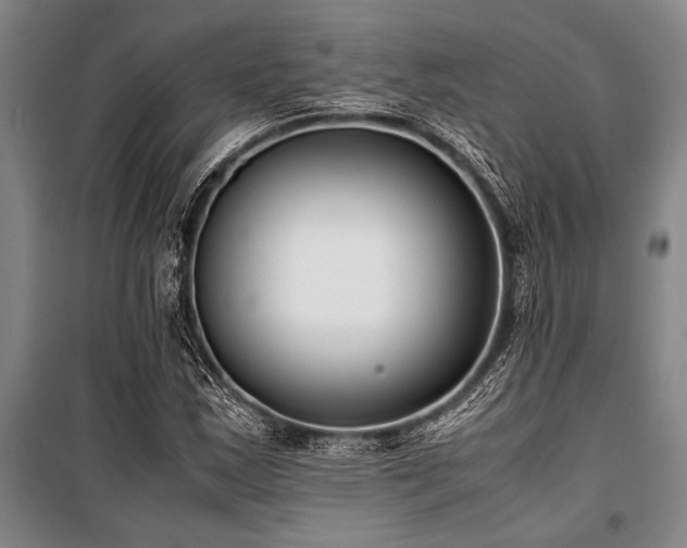 X0000101191163200806271309