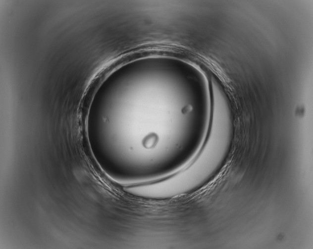 X0000101191164200806271309