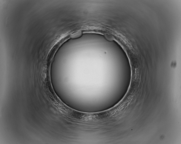 X0000101191165200806271309