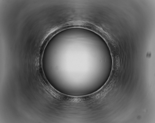 X0000101191166200806271309