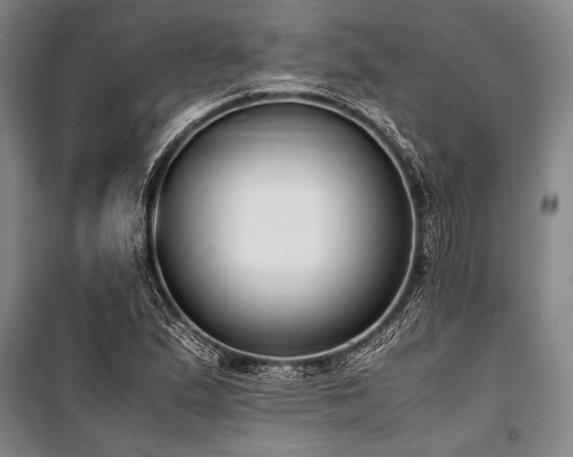 X0000101191167200806271309