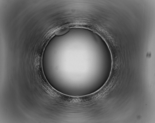 X0000101191169200806271309