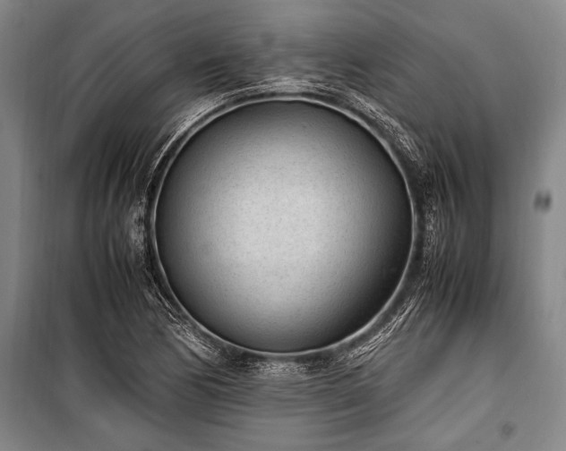 X0000101191170200806271309