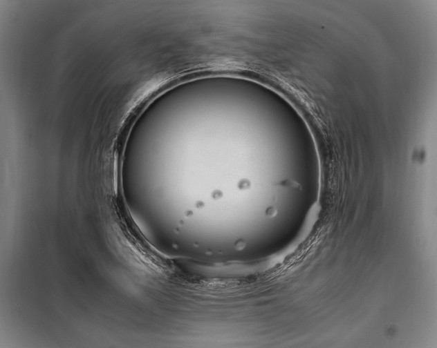 X0000101191171200806271309
