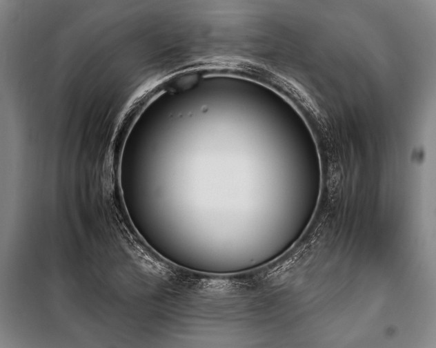 X0000101191172200806271309