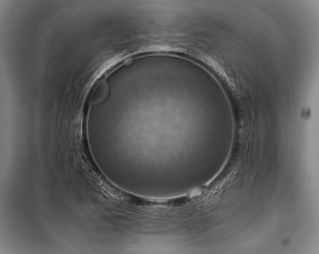 X0000101191173200806271308