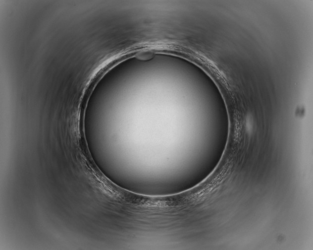 X0000101191174200806271308