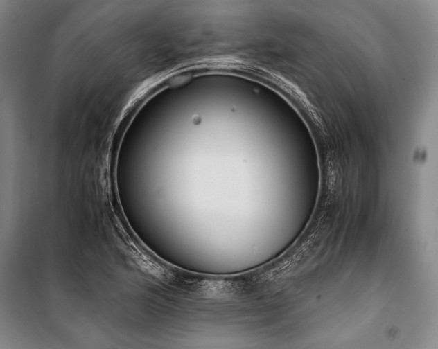 X0000101191176200806271308
