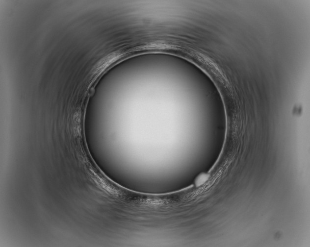 X0000101191177200806271308