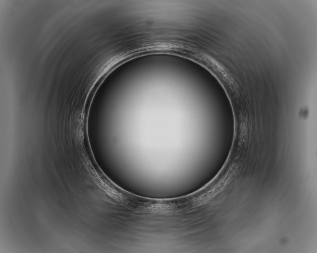 X0000101191178200806271308
