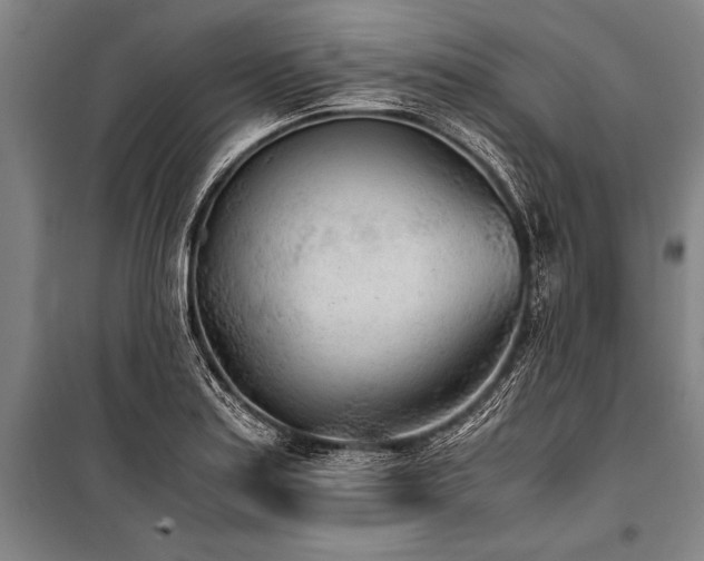 X0000101191179200806271308