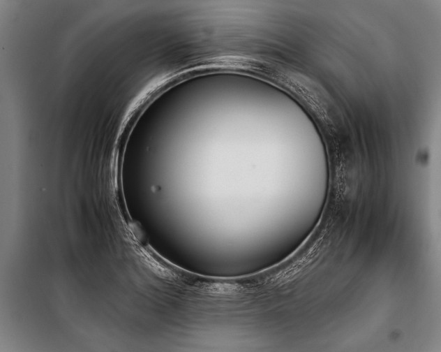 X0000101191180200806271308