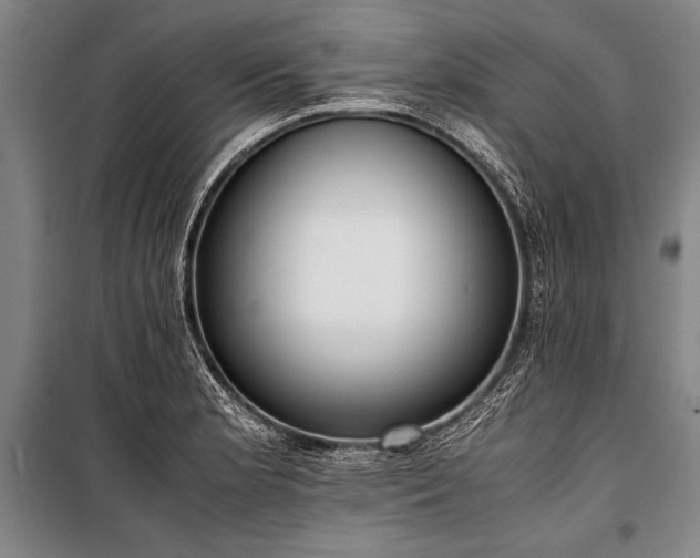 X0000101191181200806271308