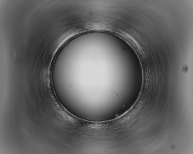 X0000101191182200806271308