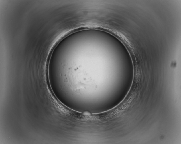 X0000101191183200806271308