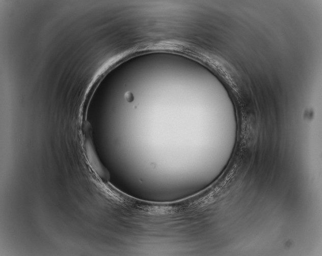 X0000101191184200806271308
