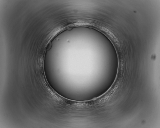 X0000101191185200806271308