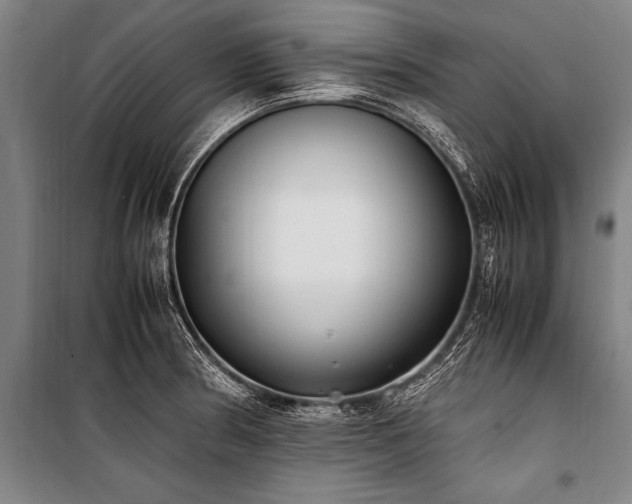 X0000101191186200806271308