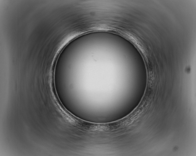 X0000101191187200806271308